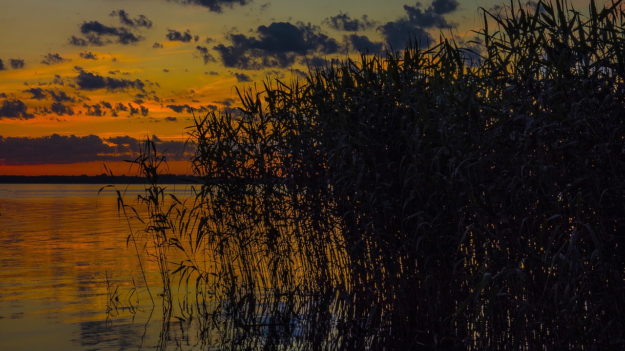 nature panoramic sunset free photo