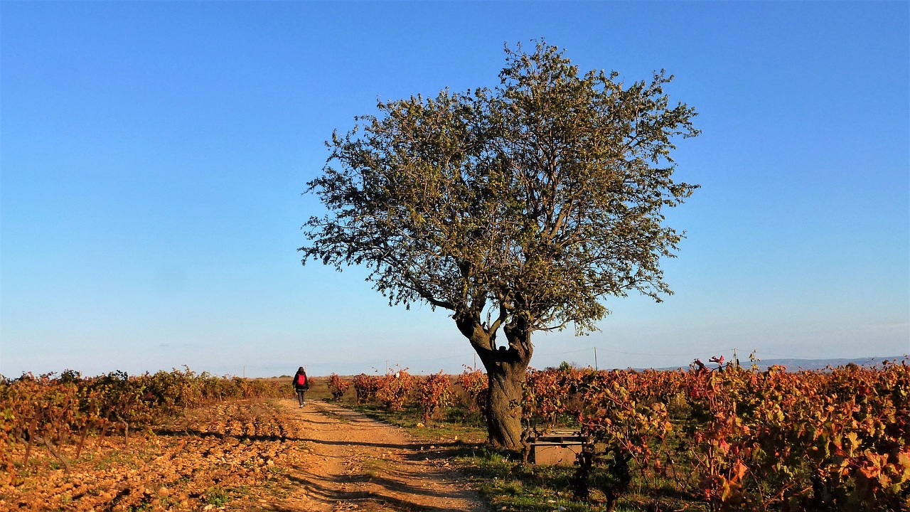 nature france aude free photo