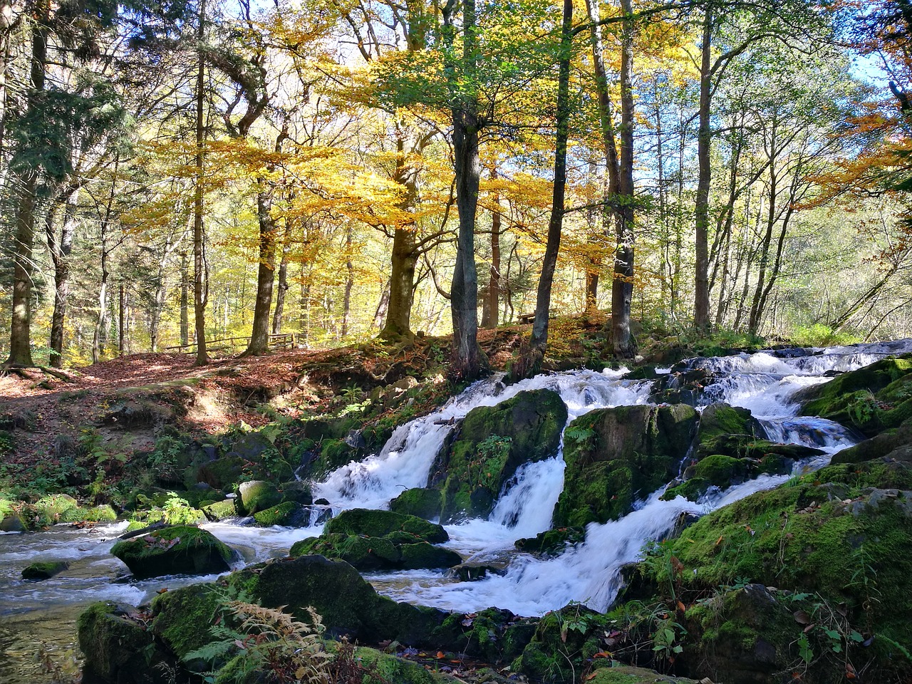 nature landscape waters free photo