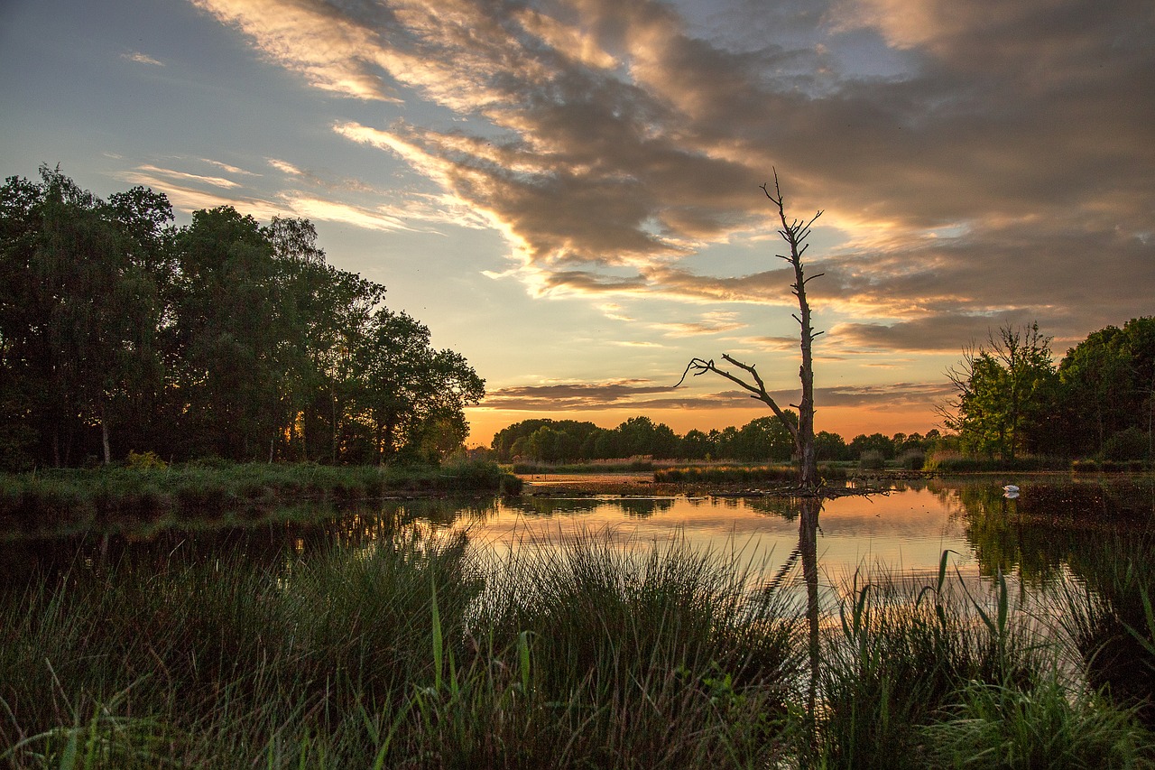 nature reflection waters free photo