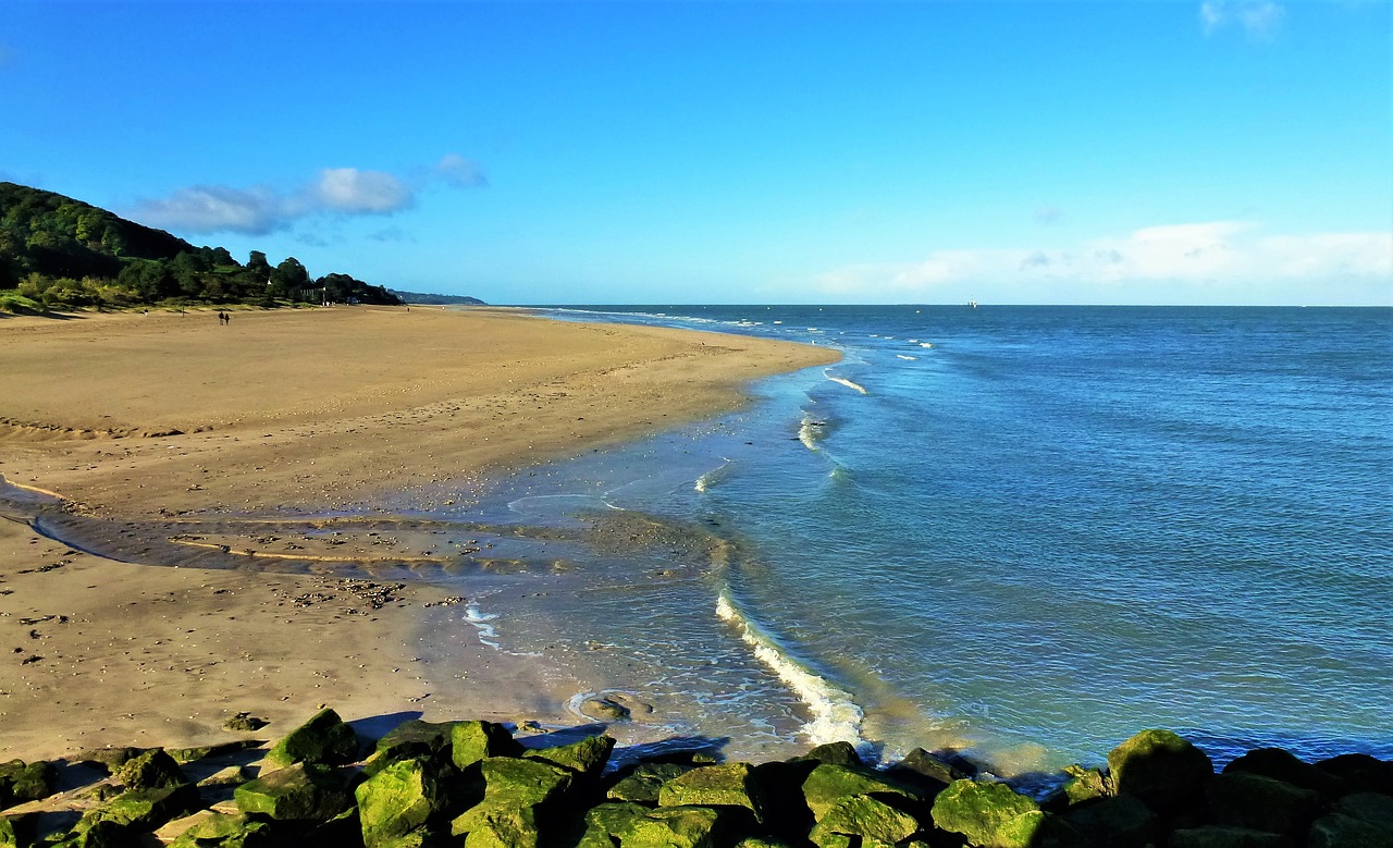 nature france normandy free photo