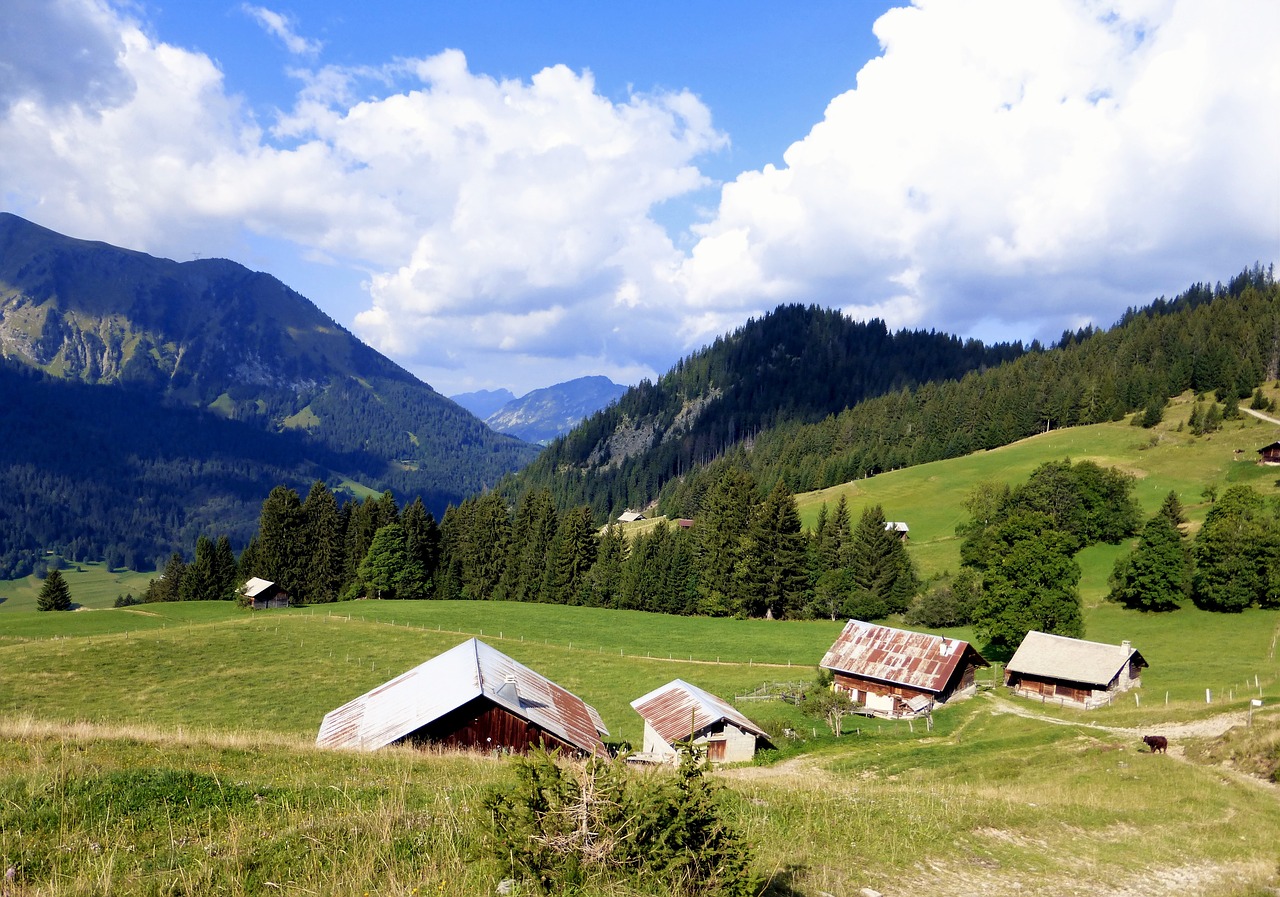 nature france alps free photo