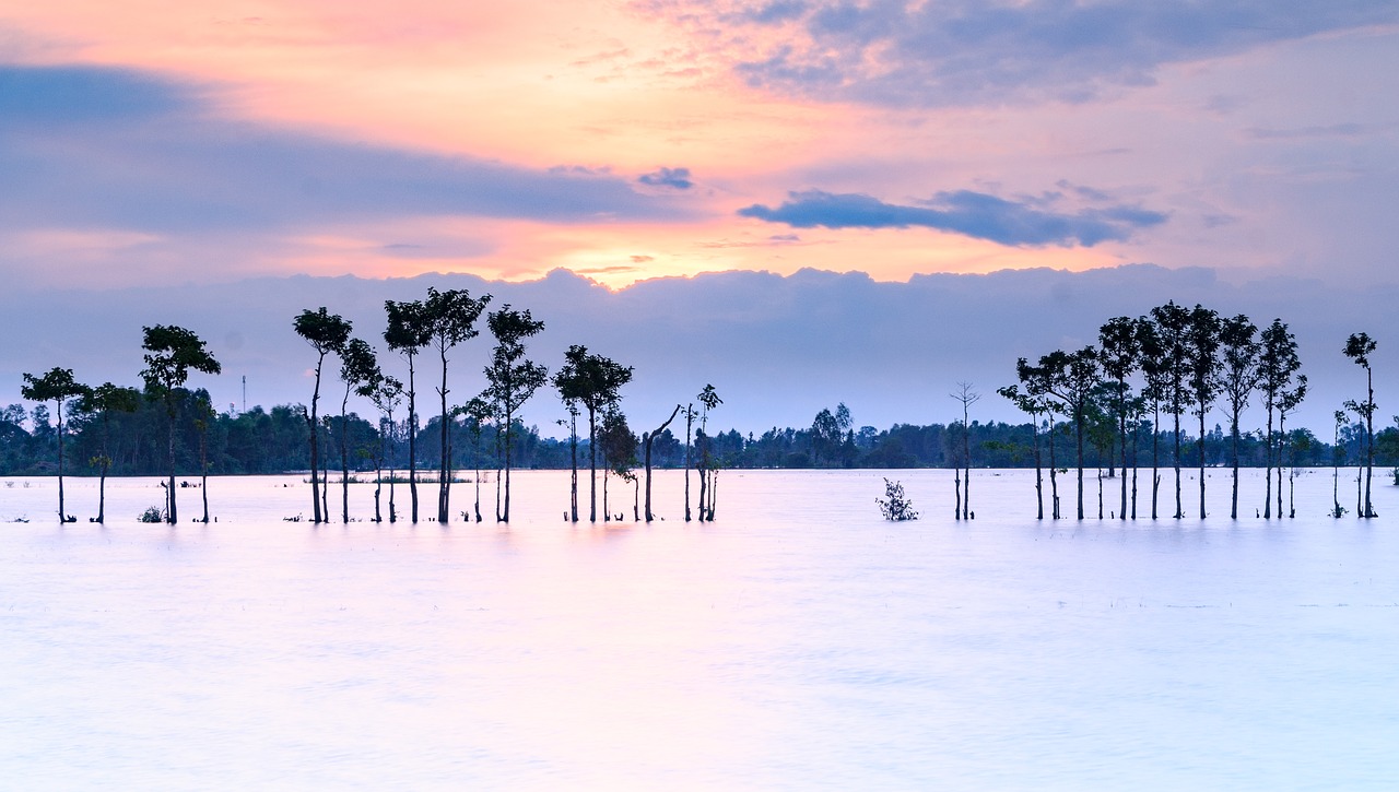 nature water field free photo