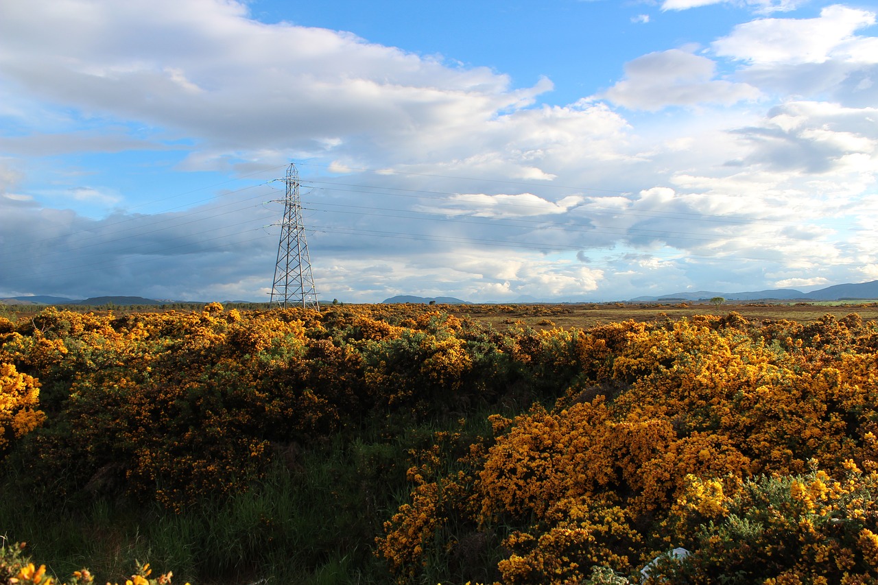 nature panorama landscape free photo