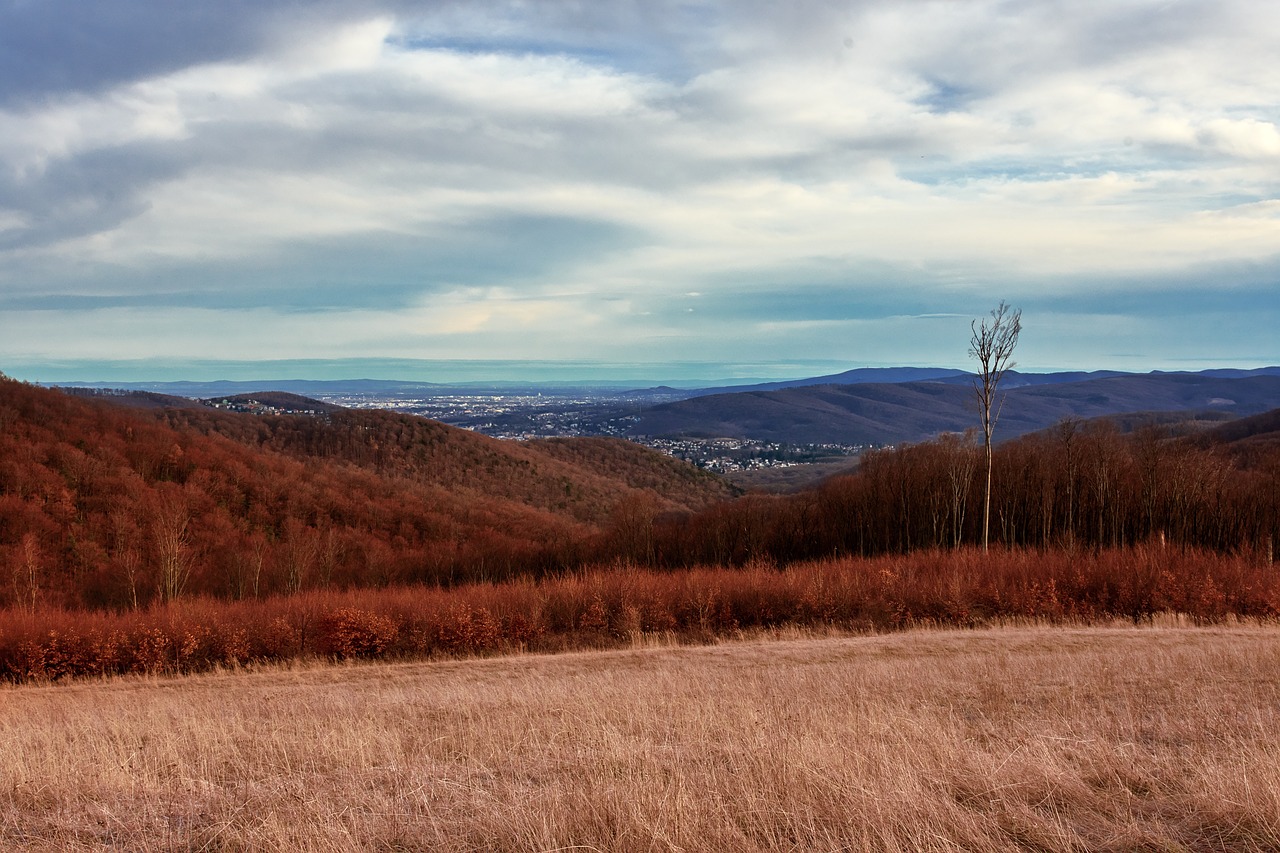 nature landscape sky free photo