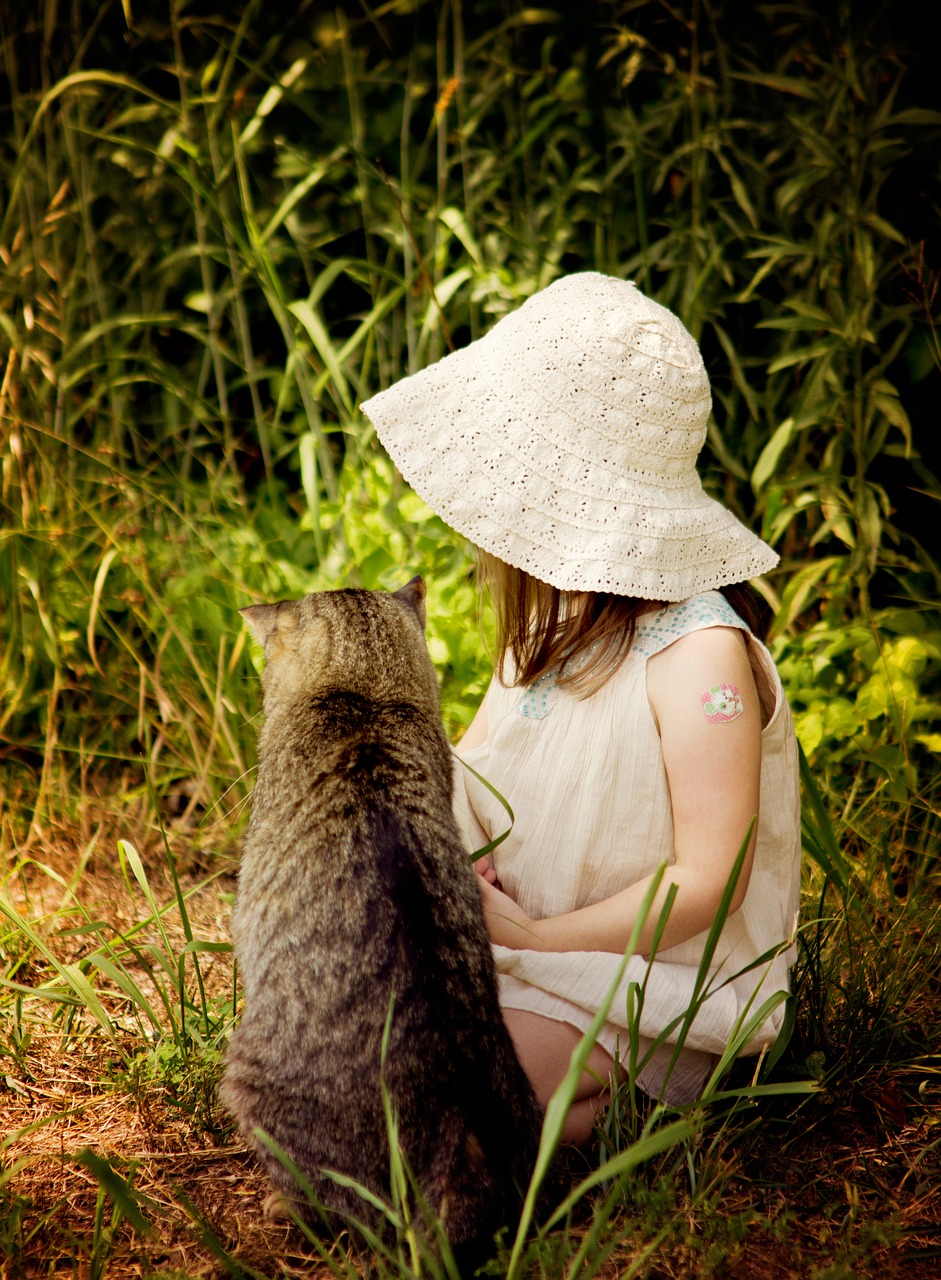 nature grass outdoors free photo