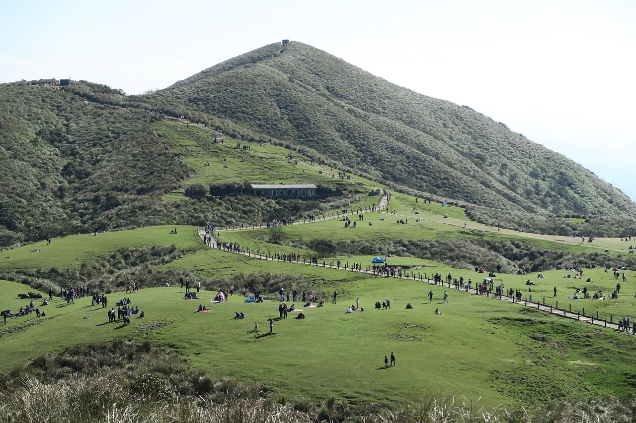 nature landscape hill free photo