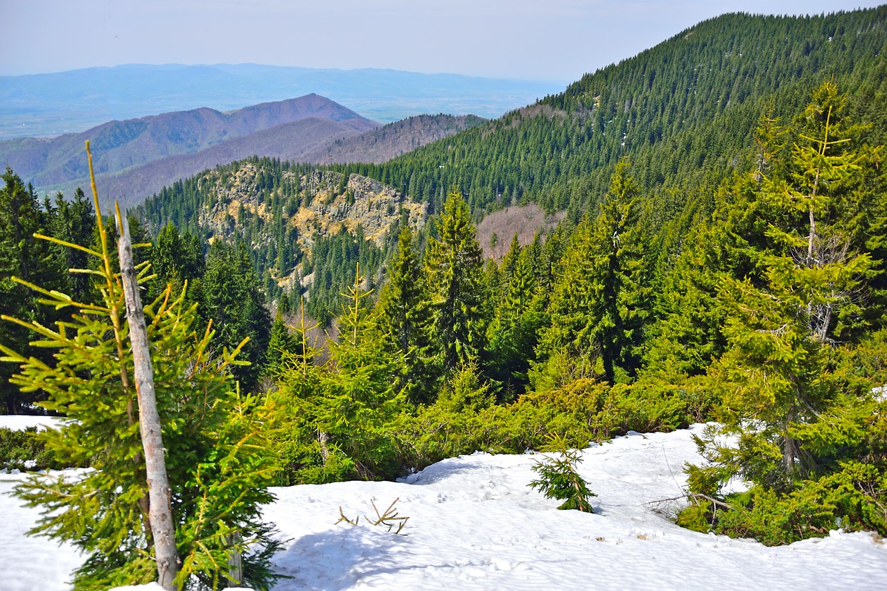 nature mountain snow free photo