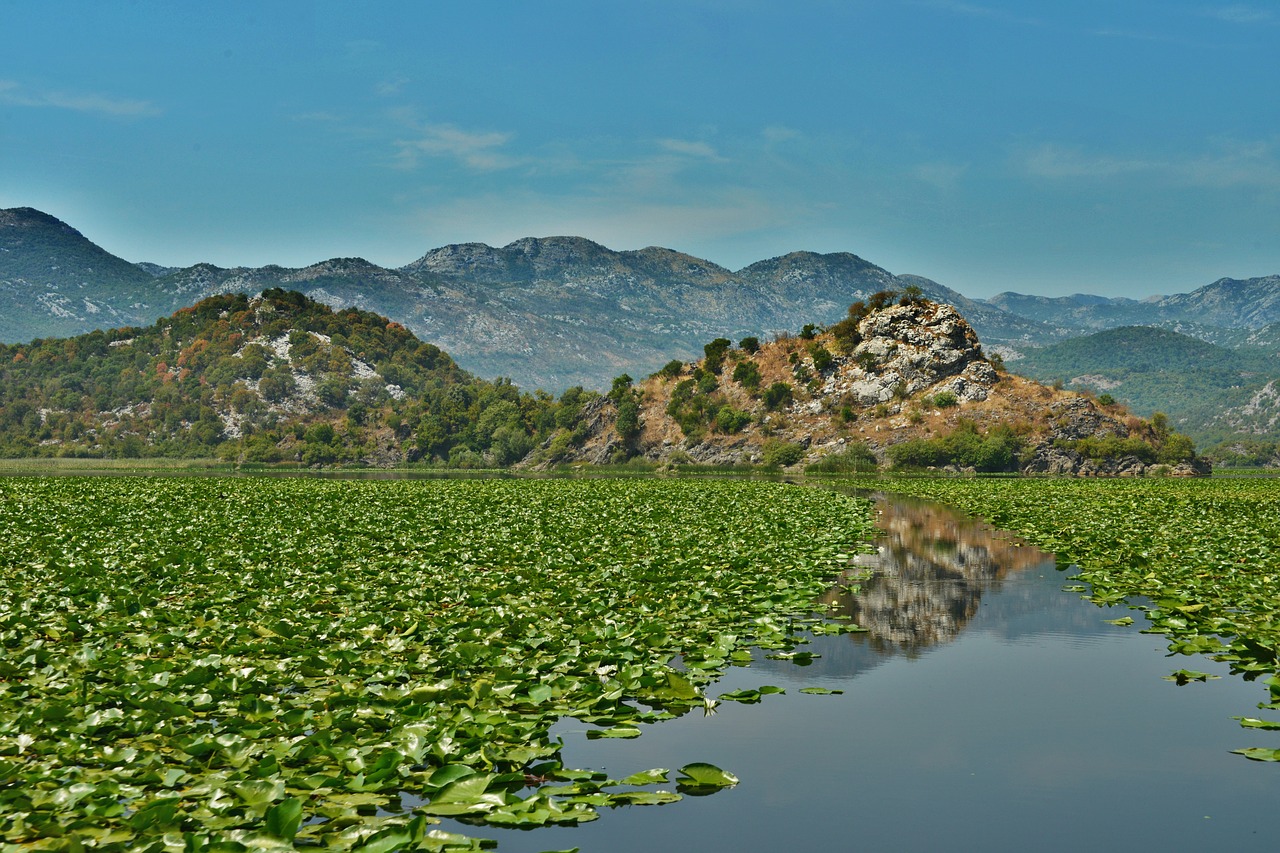 nature water landscape free photo