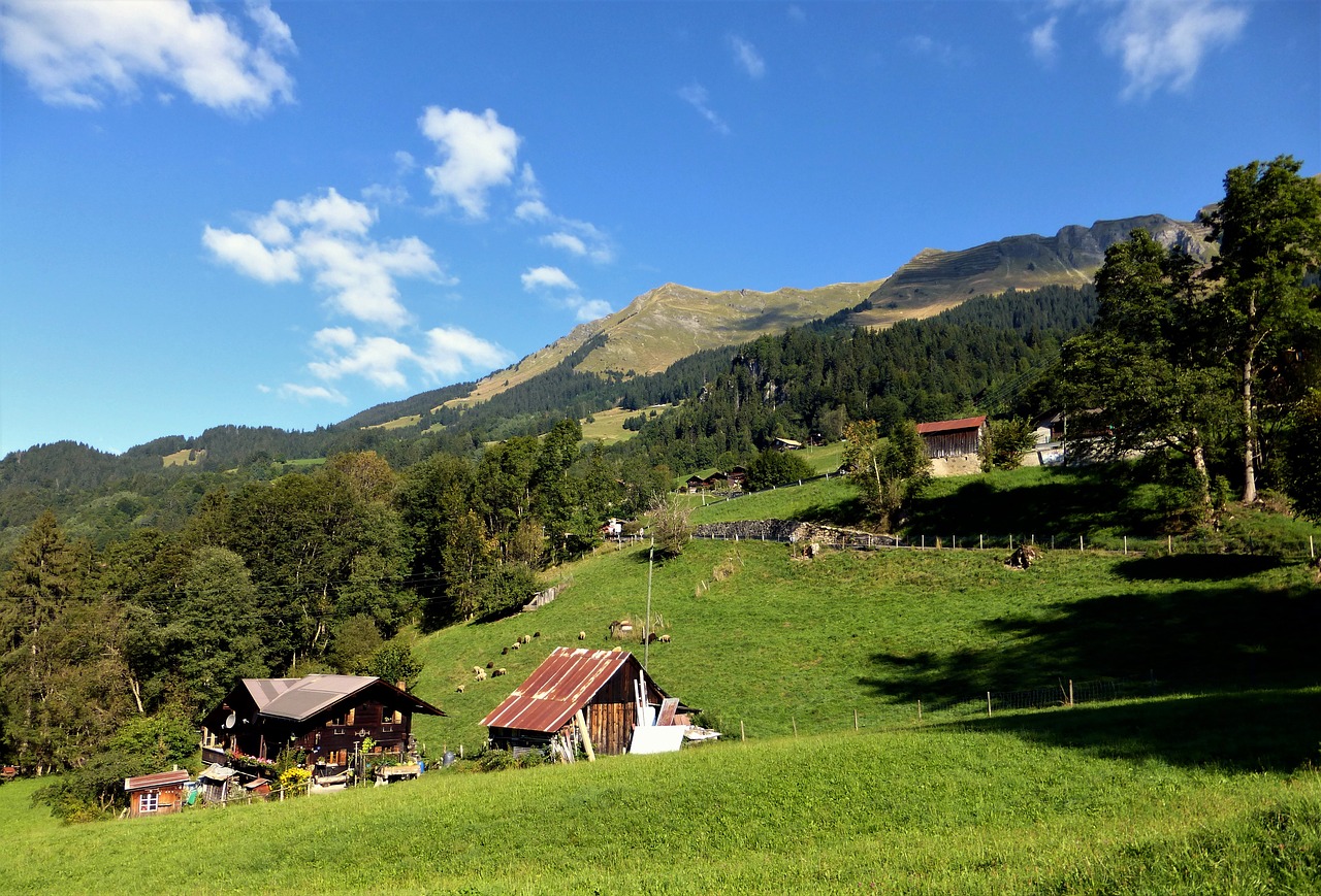 nature france alps free photo