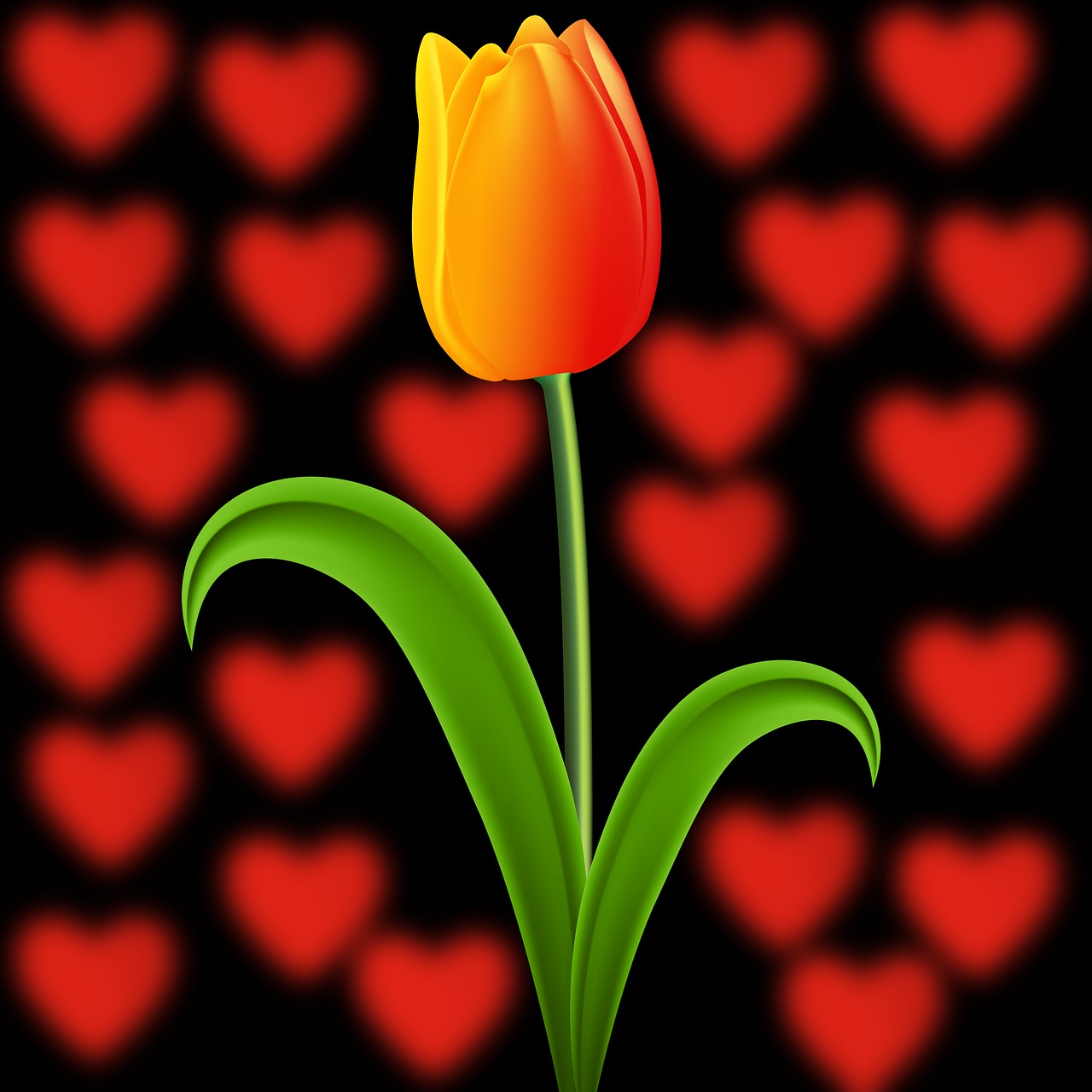 nature tulip plant free photo