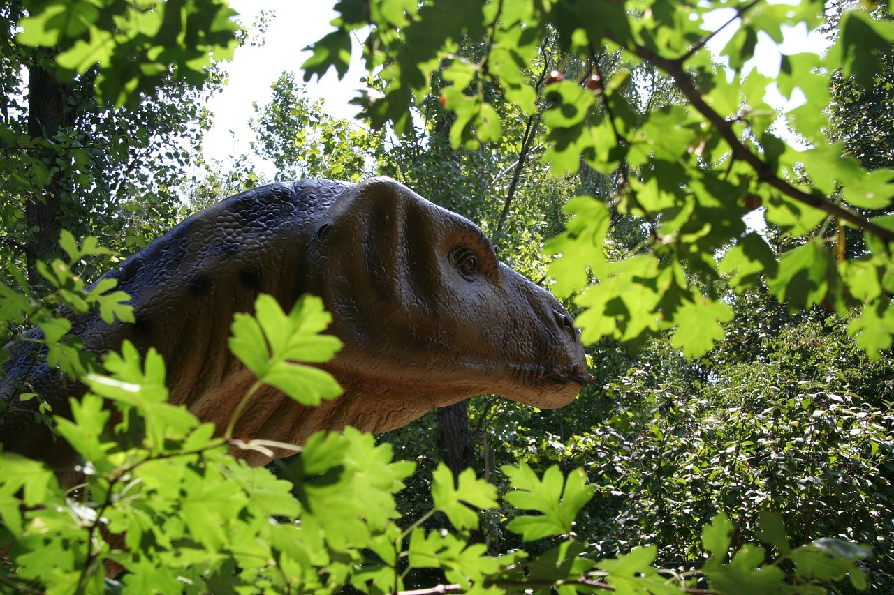 nature wood tree free photo