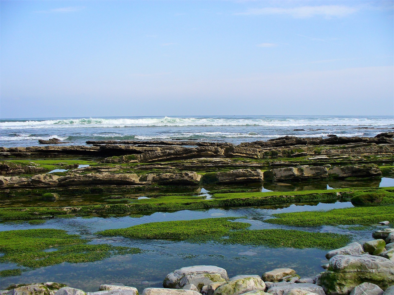 nature france basque country free photo