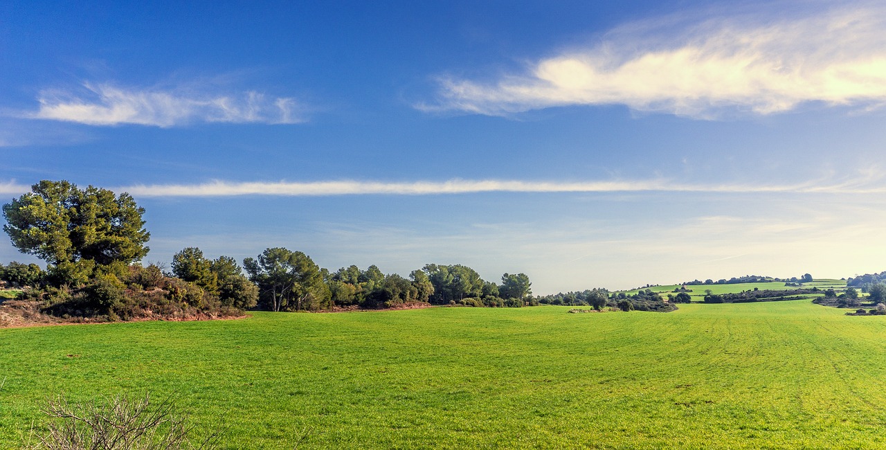 Download free photo of Nature,lawn,panoramic,summer,outdoors ...