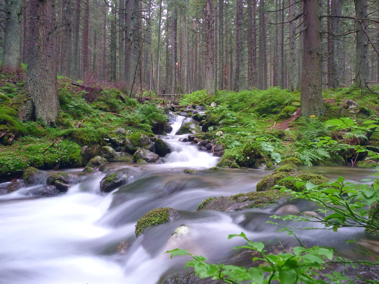 nature monolithic part of the waters river free photo