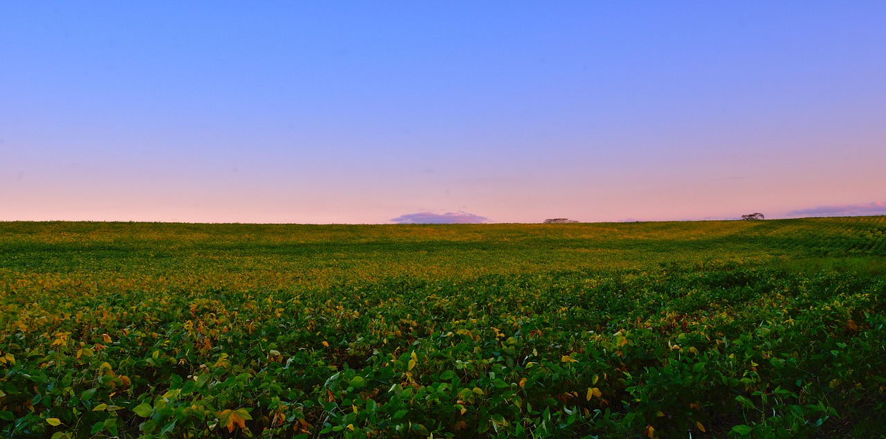 nature panoramic sky free photo