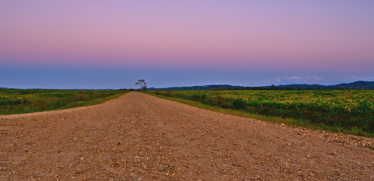 nature outdoors sky free photo