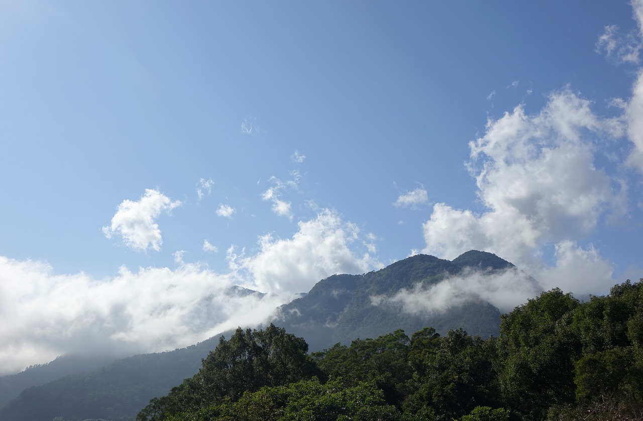 nature a bird's eye view mountain free photo