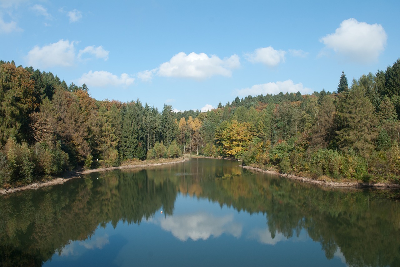 nature water lake free photo