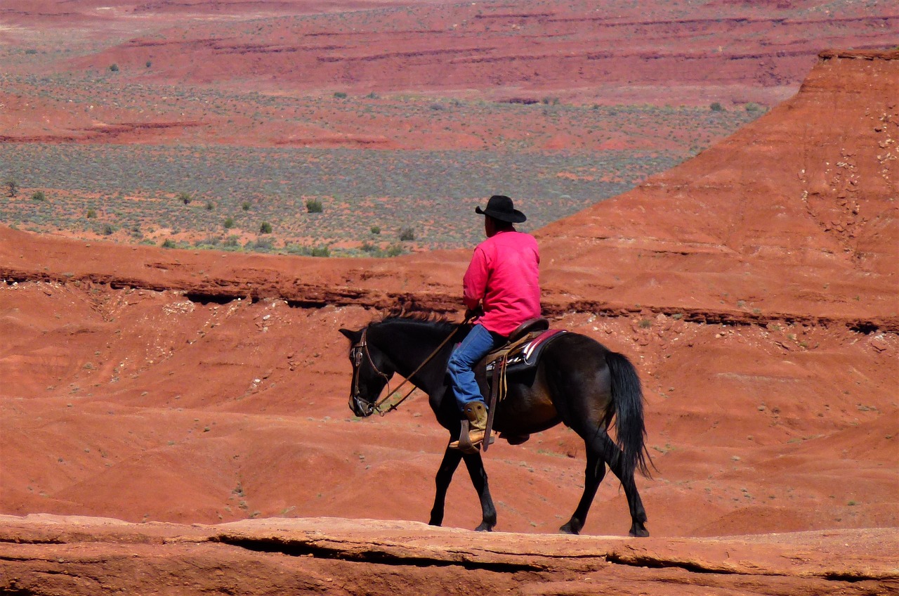 nature usa park free photo