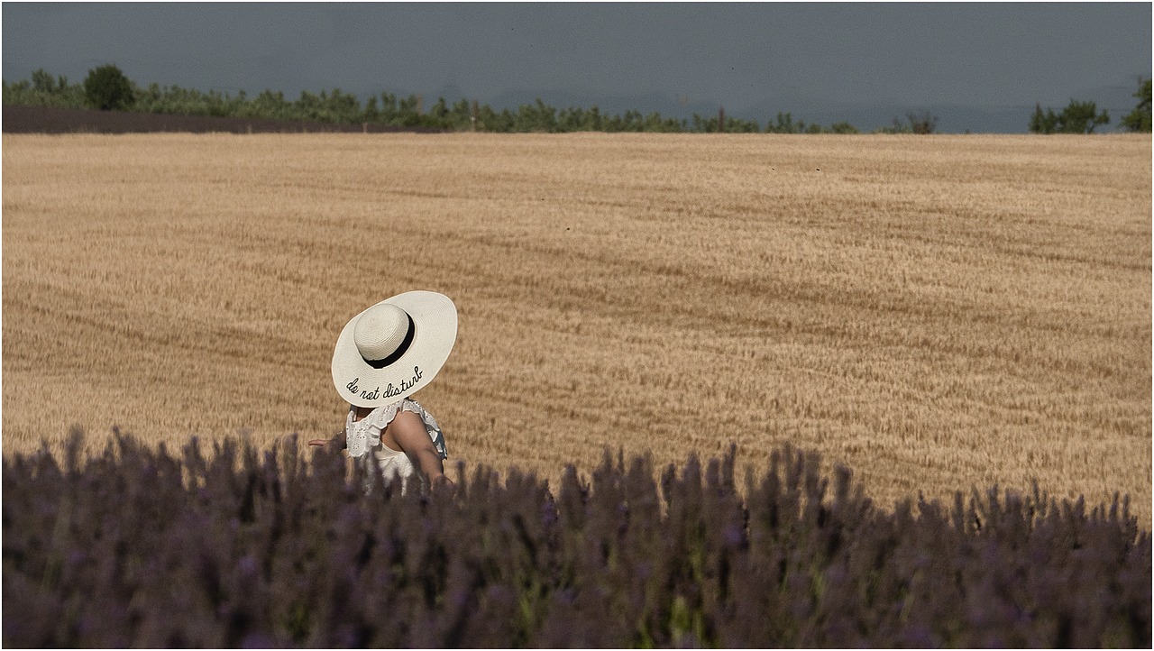 nature field agro-industry free photo