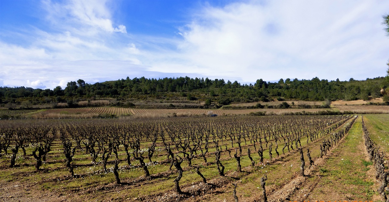 nature france aude free photo