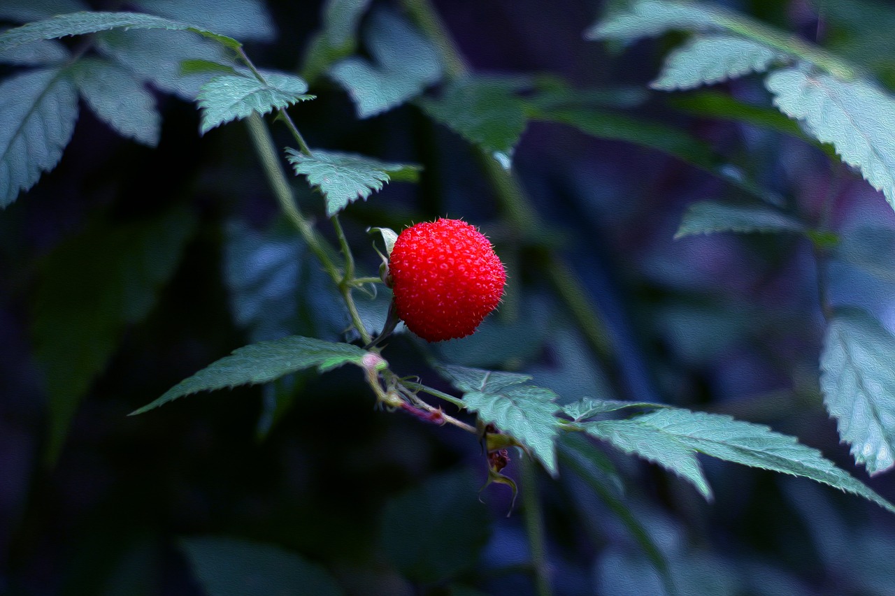 nature leaf summer free photo