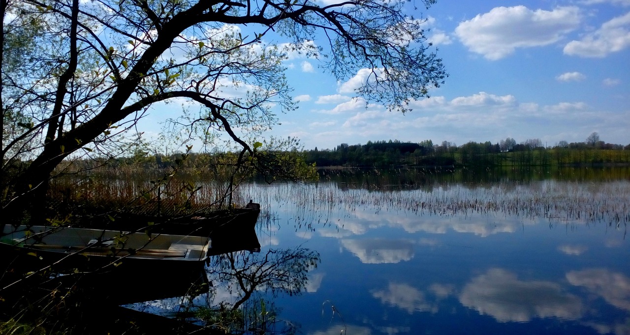 nature monolithic part of the waters the wave is reflected free photo