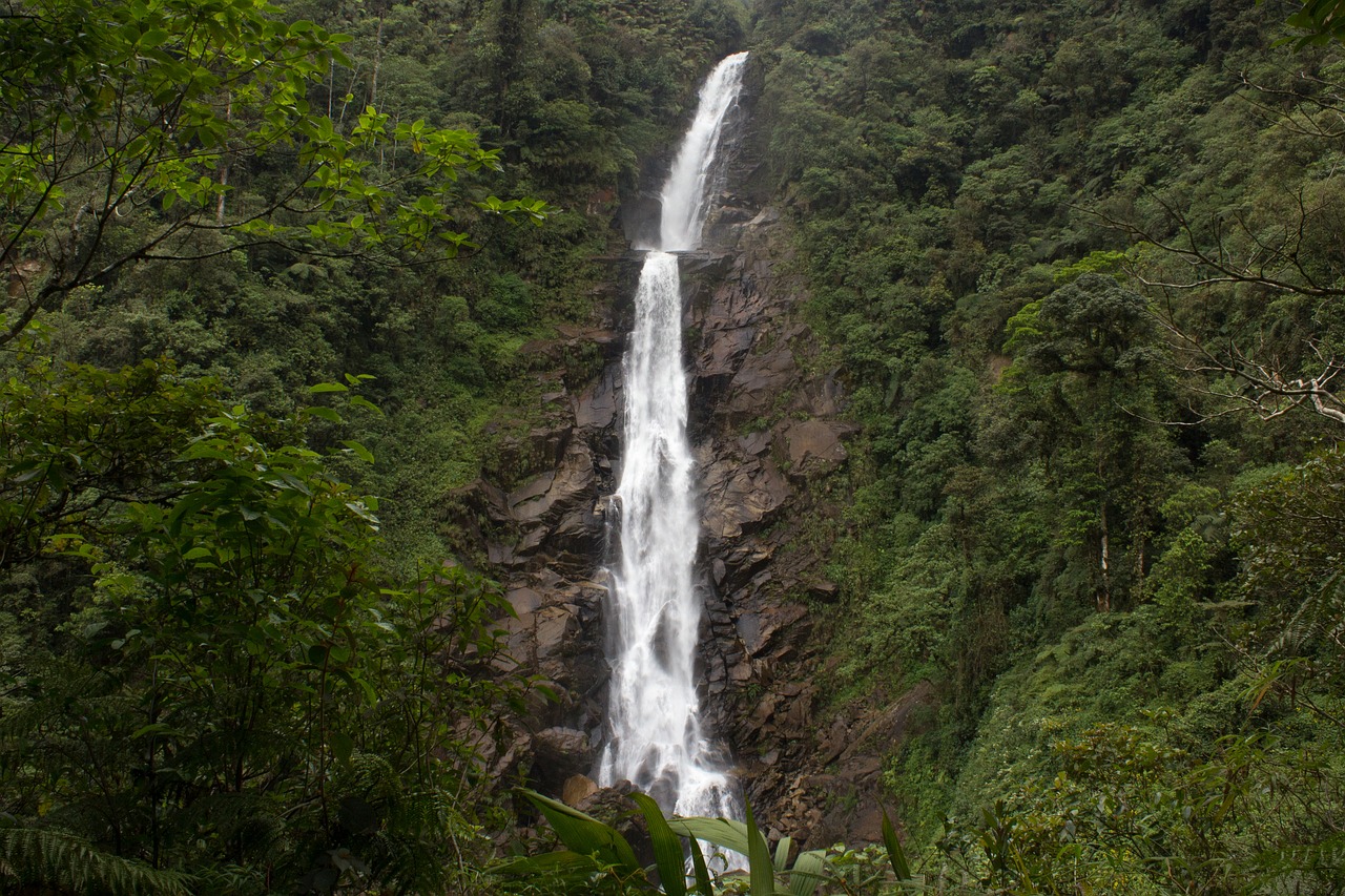 nature waterfall body of water free photo