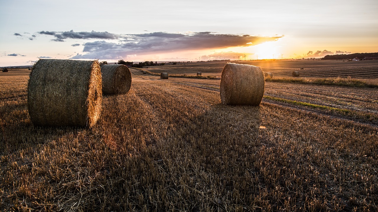 nature landscape sky free photo