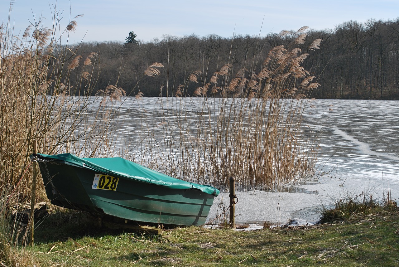 nature waters lake free photo