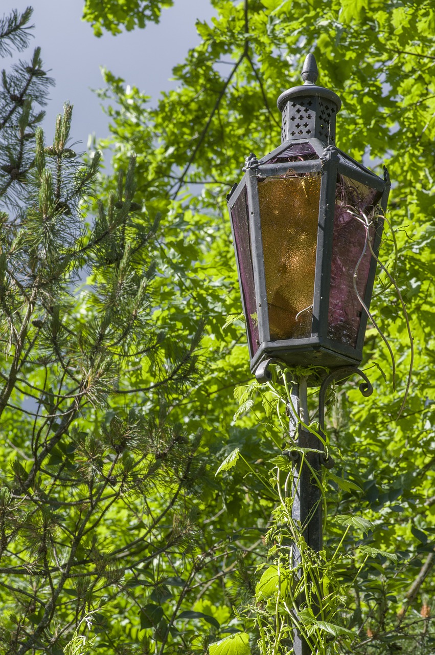 nature wood latern free photo