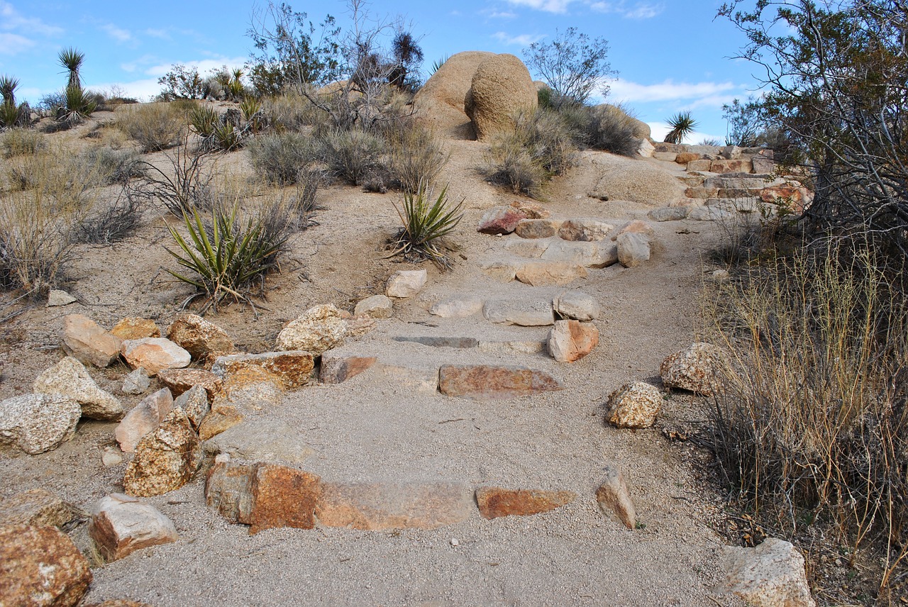 nature dry desert free photo