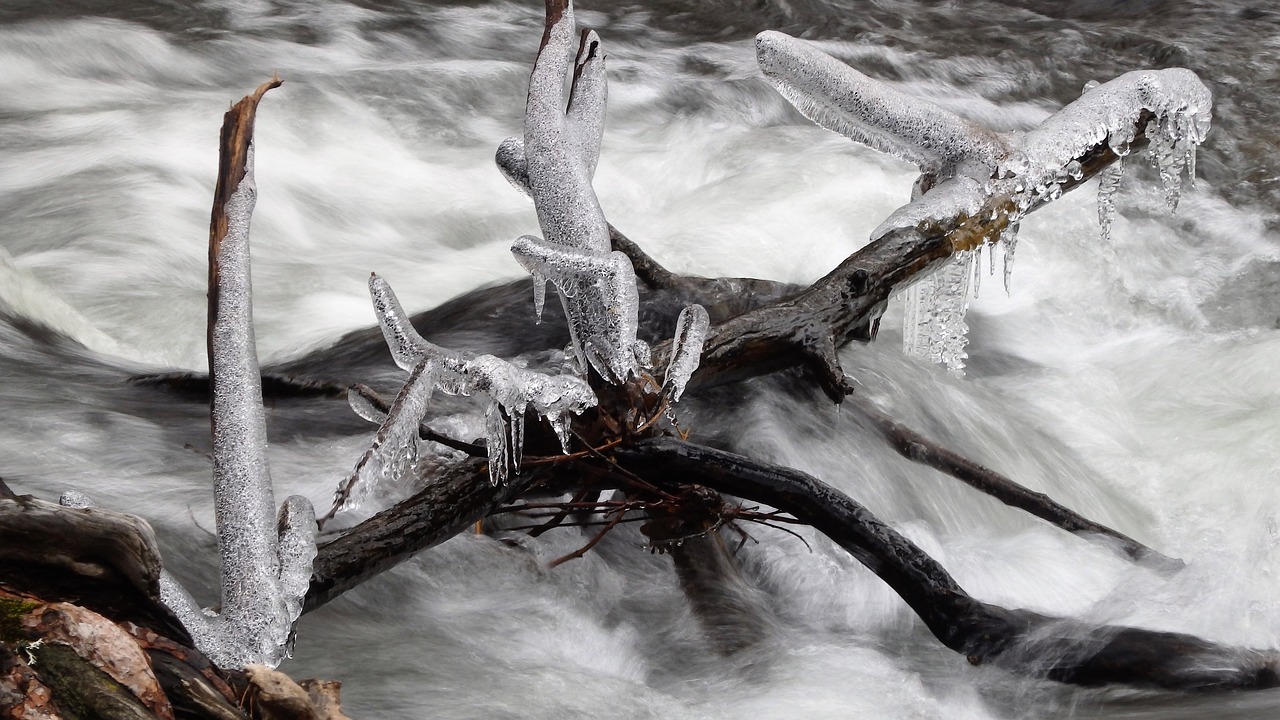 nature ice snow free photo