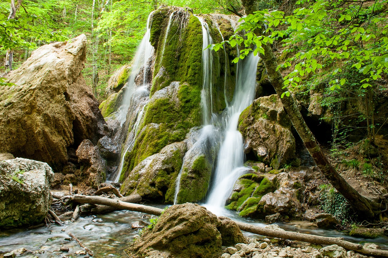 nature water waterfall free photo