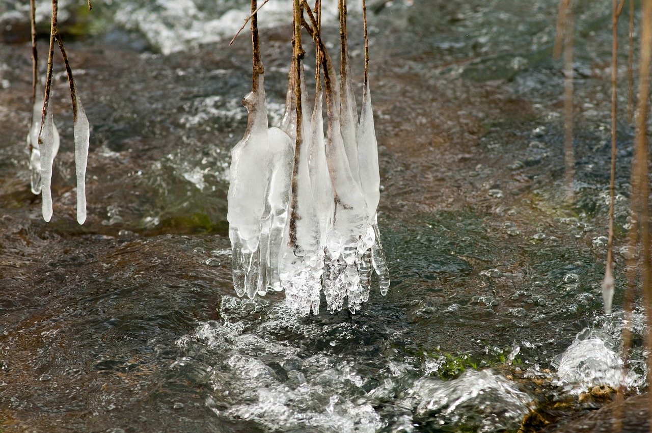 nature body of water winter free photo