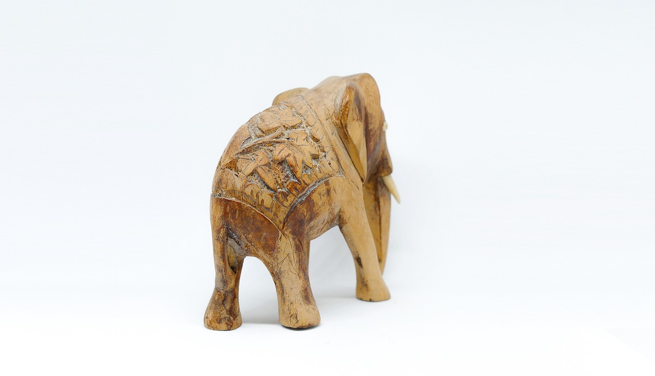 nature elephant model free photo