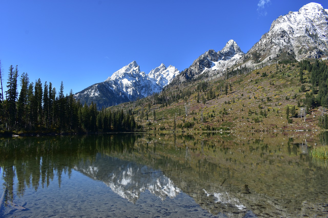 nature mountain snow free photo