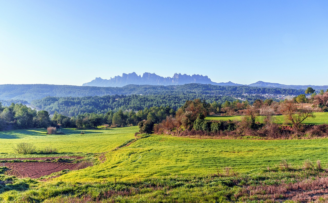 nature landscape hill free photo