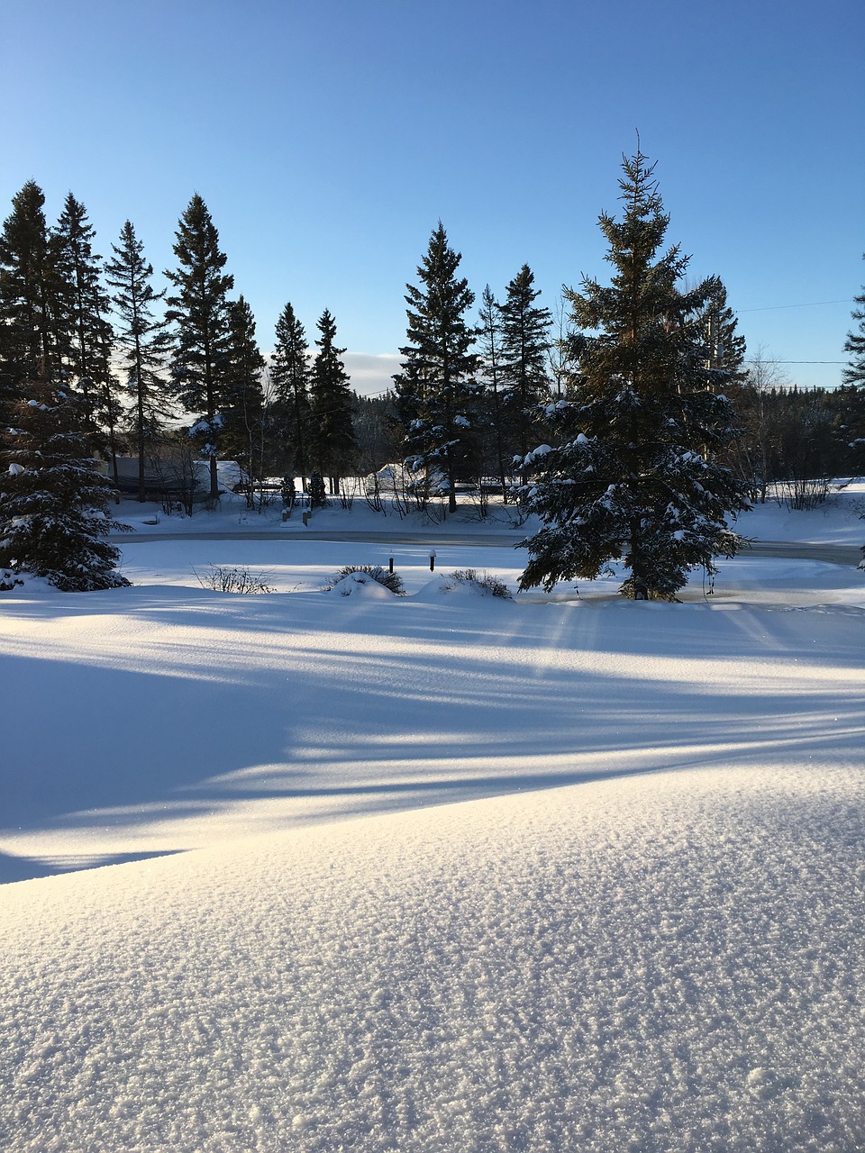 nature landscape snow free photo