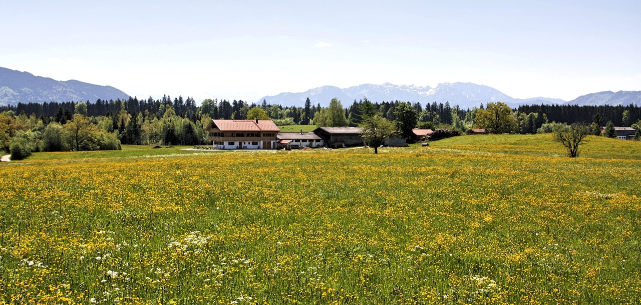 nature landscape panorama free photo