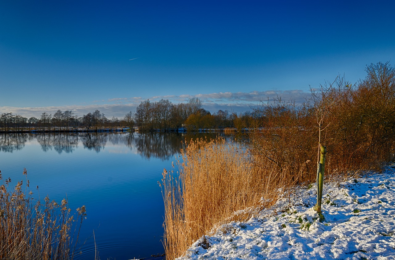 nature waters lake free photo