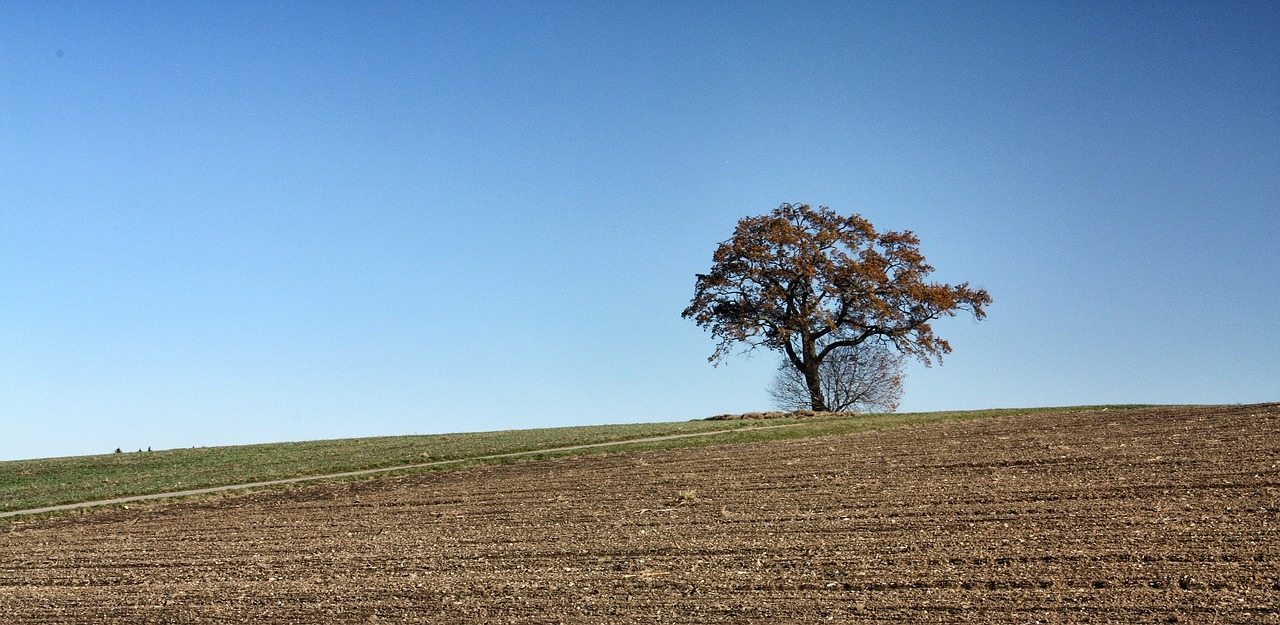 nature landscape sky free photo