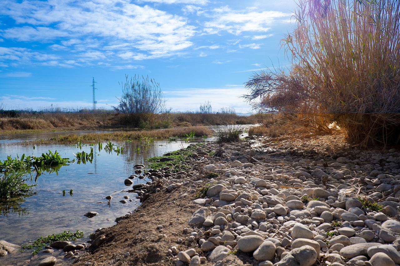 nature body of water open air free photo