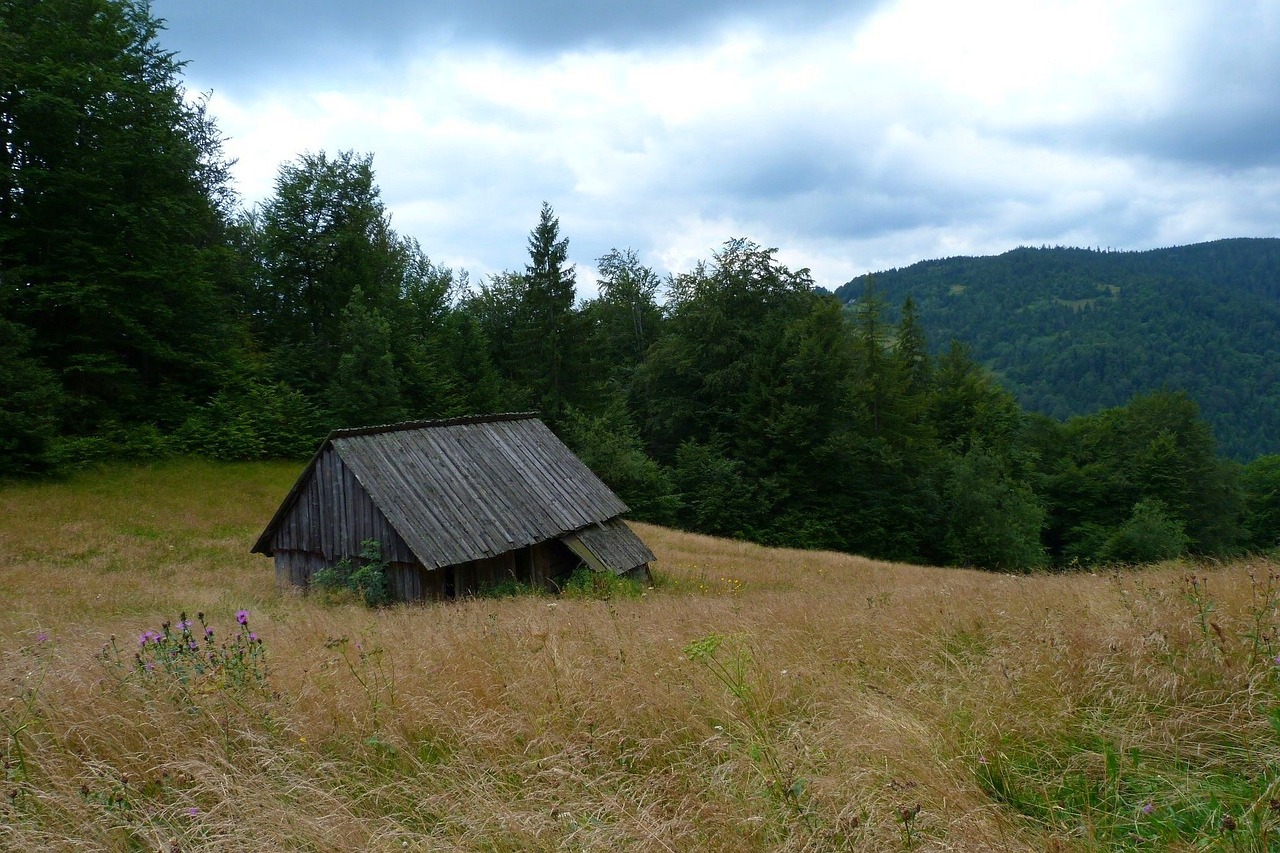 nature lawn landscape free photo