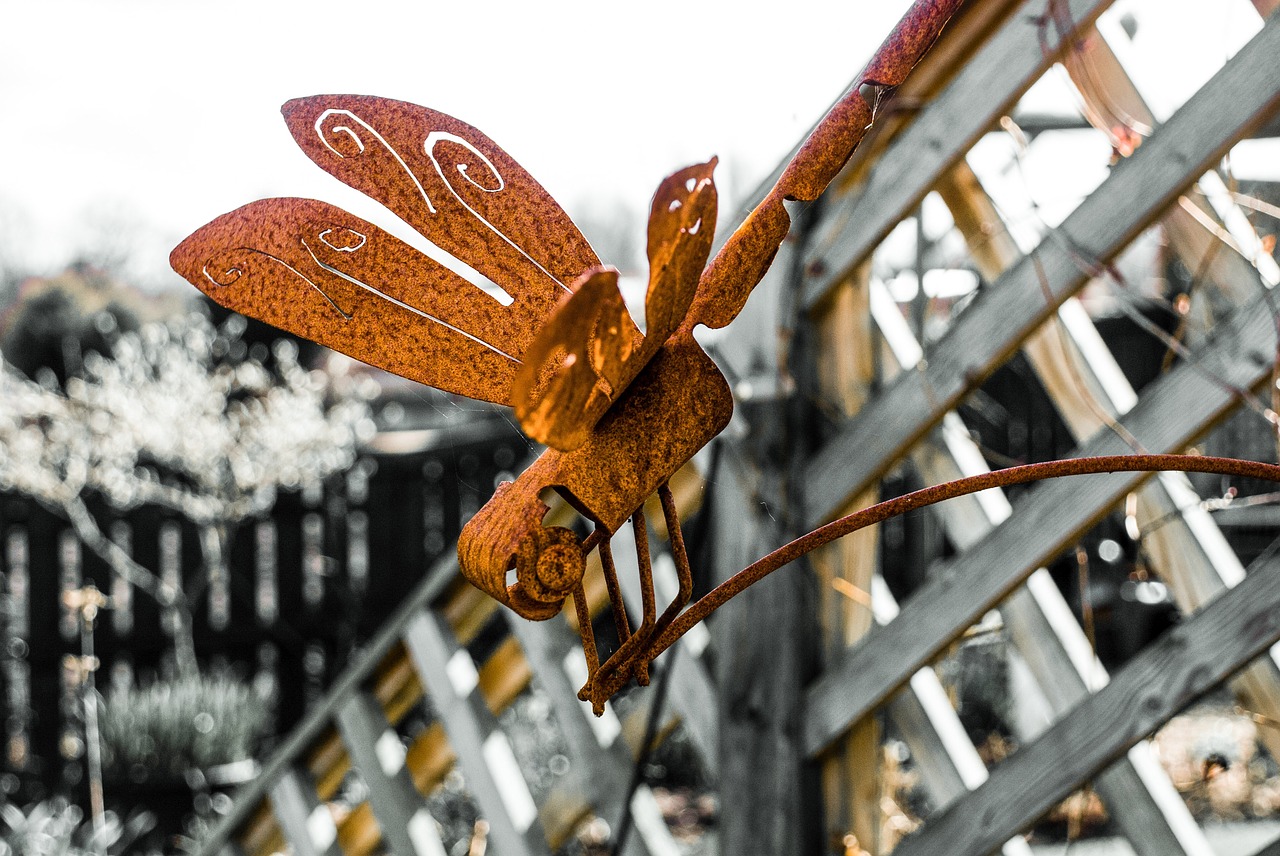 nature dragonfly metal free photo