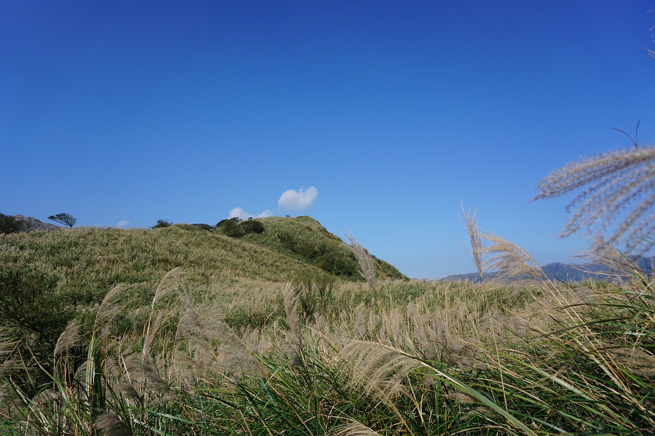 nature sky lawn free photo