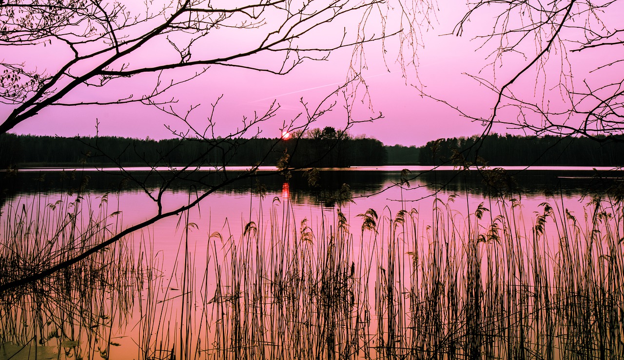 nature reflection waters free photo