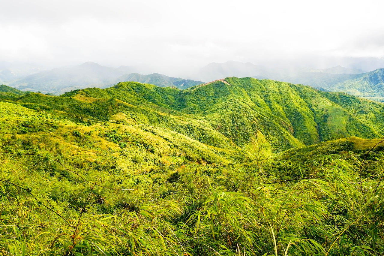 nature landscape mountain free photo