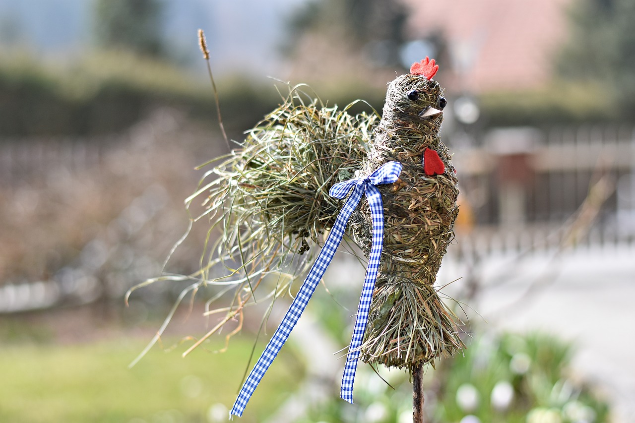 nature grass bird free photo